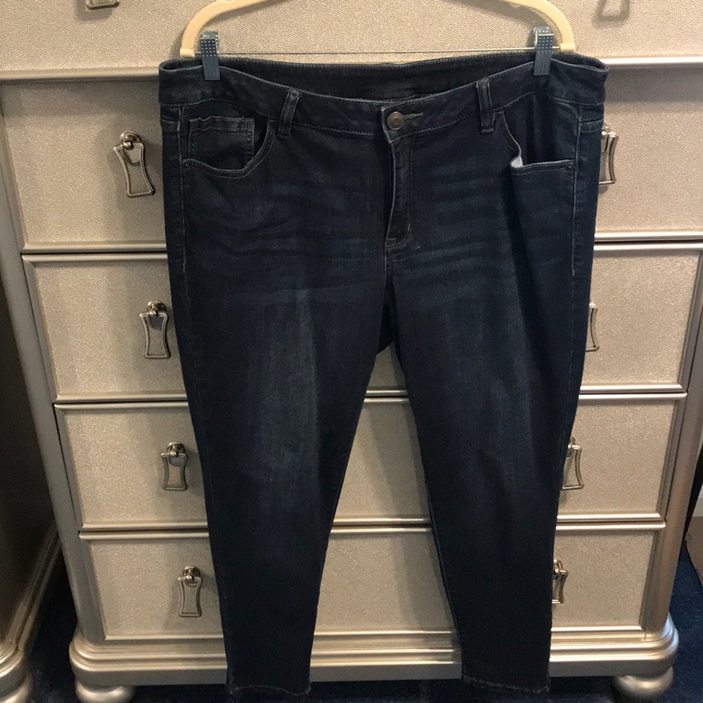 Lane Bryant Venezia Skinny Jeans (18S)